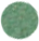 Green Circle Texture